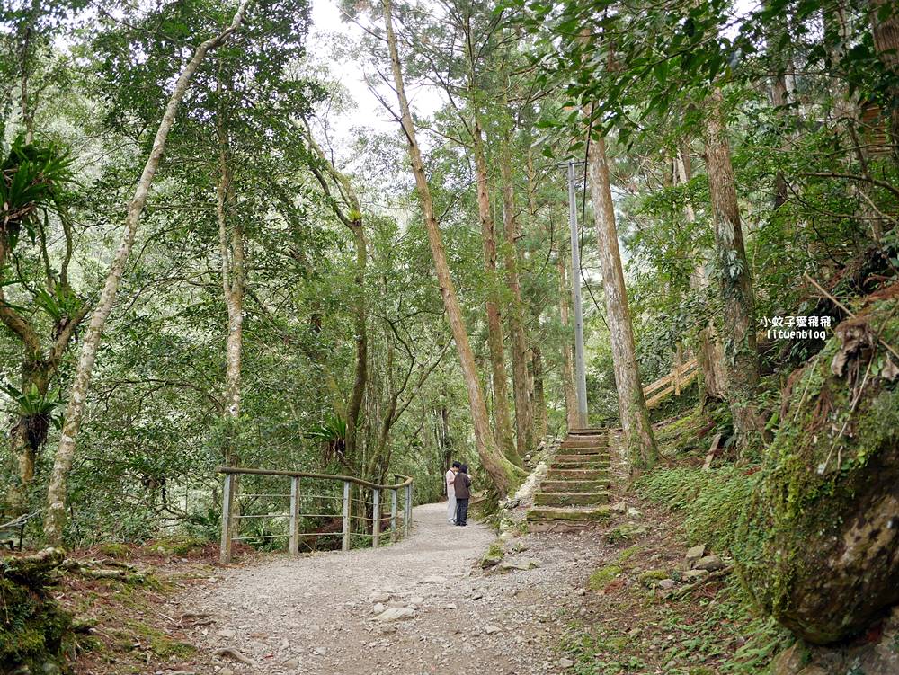 三峽景點「滿月圓國家森林遊樂區」滿月圓瀑布&彩虹乍現處女瀑布，柳杉林生態豐富放鬆養心
