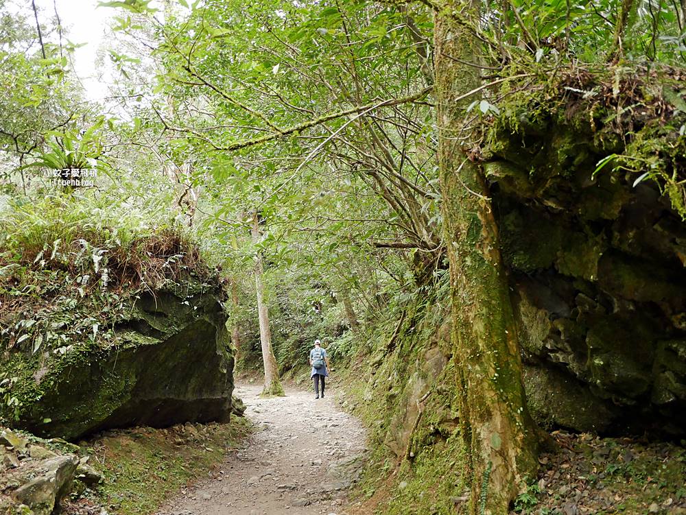 三峽景點「滿月圓國家森林遊樂區」滿月圓瀑布&彩虹乍現處女瀑布，柳杉林生態豐富放鬆養心