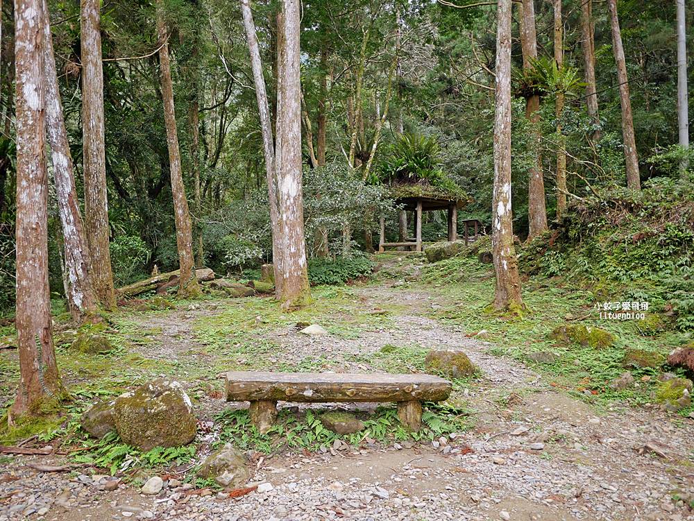 三峽景點「滿月圓國家森林遊樂區」滿月圓瀑布&彩虹乍現處女瀑布，柳杉林生態豐富放鬆養心