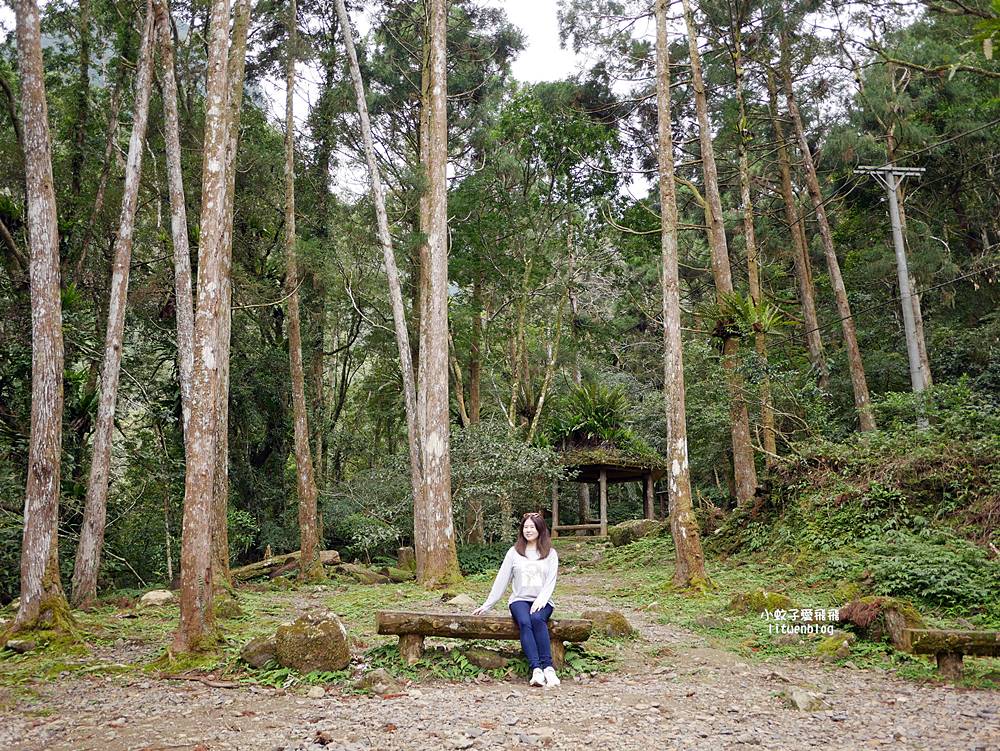 三峽景點「滿月圓國家森林遊樂區」滿月圓瀑布&彩虹乍現處女瀑布，柳杉林生態豐富放鬆養心