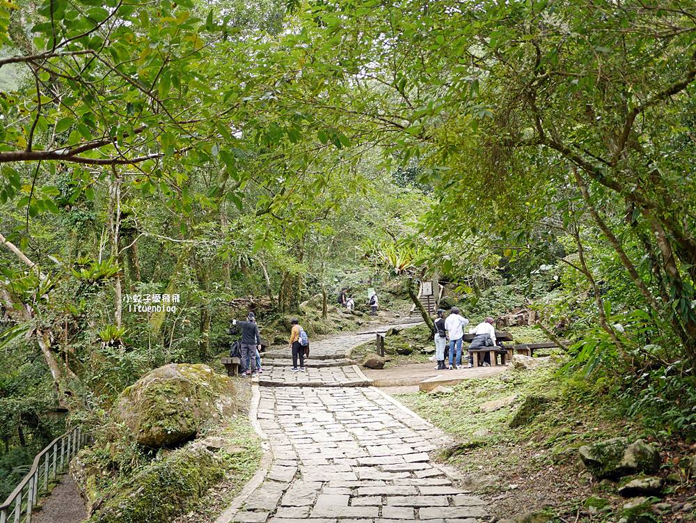 三峽景點「滿月圓國家森林遊樂區」滿月圓瀑布&彩虹乍現處女瀑布，柳杉林生態豐富放鬆養心