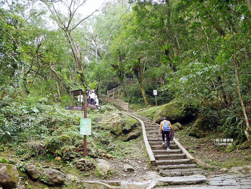 三峽景點「滿月圓國家森林遊樂區」滿月圓瀑布&彩虹乍現處女瀑布，柳杉林生態豐富放鬆養心