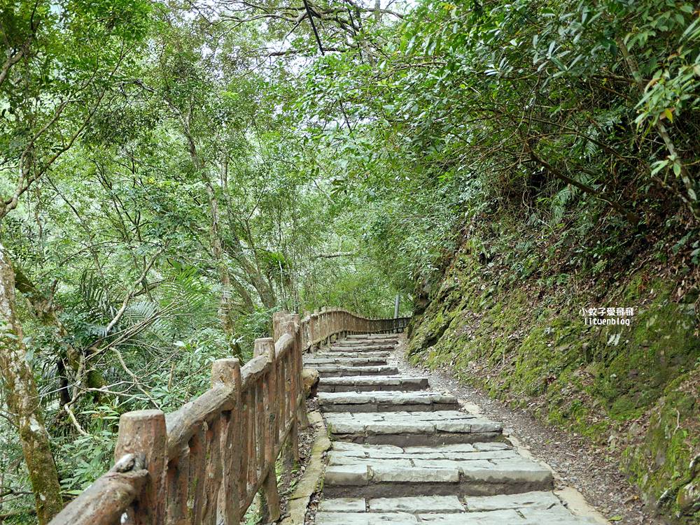 三峽景點「滿月圓國家森林遊樂區」滿月圓瀑布&彩虹乍現處女瀑布，柳杉林生態豐富放鬆養心