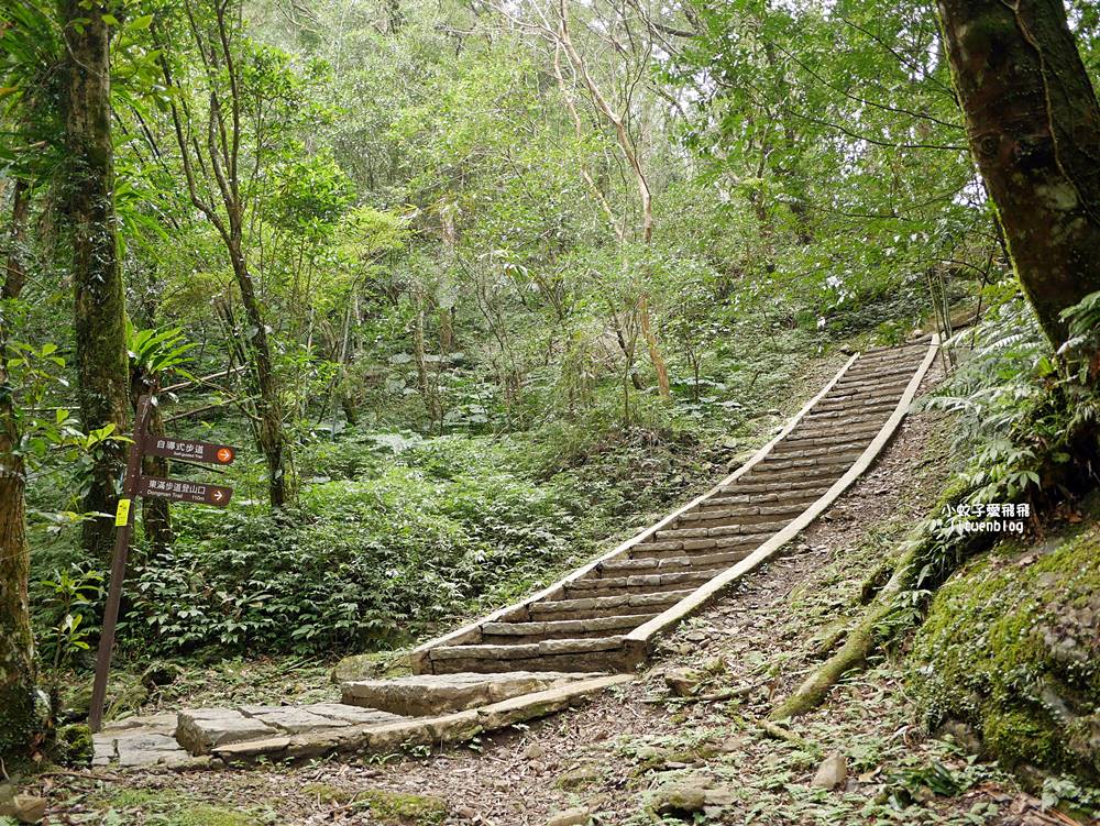 三峽景點「滿月圓國家森林遊樂區」滿月圓瀑布&彩虹乍現處女瀑布，柳杉林生態豐富放鬆養心