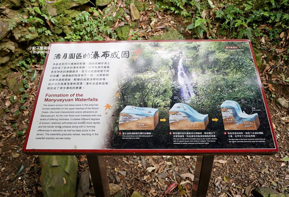 三峽景點「滿月圓國家森林遊樂區」滿月圓瀑布&彩虹乍現處女瀑布，柳杉林生態豐富放鬆養心