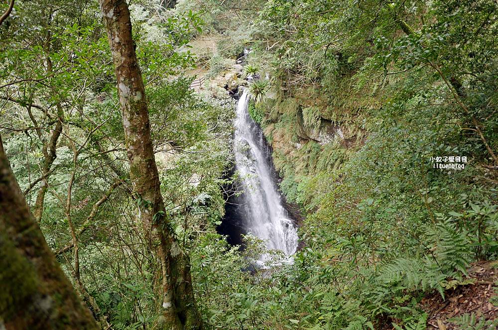 三峽景點「滿月圓國家森林遊樂區」滿月圓瀑布&彩虹乍現處女瀑布，柳杉林生態豐富放鬆養心