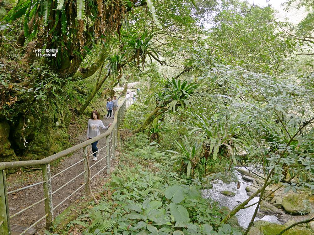 三峽景點「滿月圓國家森林遊樂區」滿月圓瀑布&彩虹乍現處女瀑布，柳杉林生態豐富放鬆養心