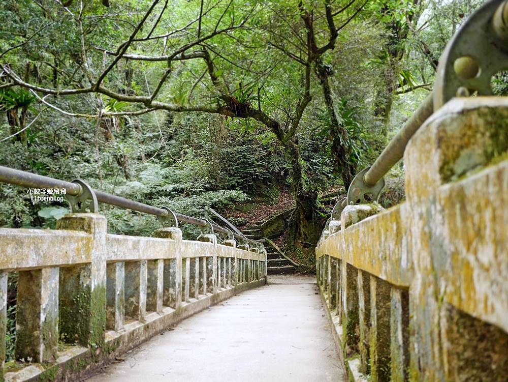 三峽景點「滿月圓國家森林遊樂區」滿月圓瀑布&彩虹乍現處女瀑布，柳杉林生態豐富放鬆養心
