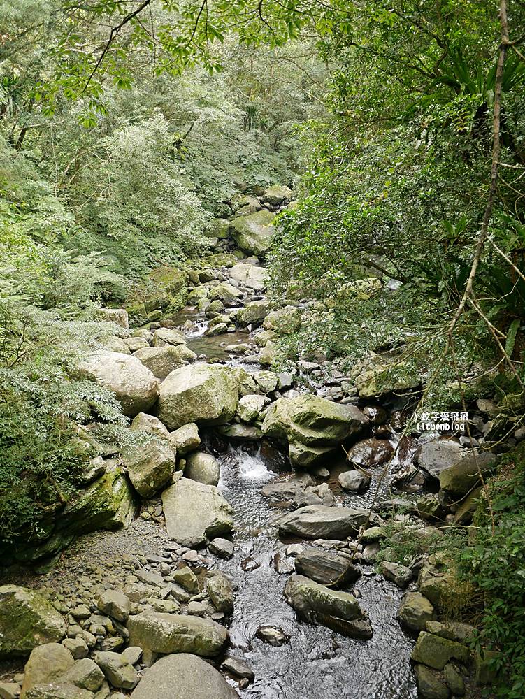 三峽景點「滿月圓國家森林遊樂區」滿月圓瀑布&彩虹乍現處女瀑布，柳杉林生態豐富放鬆養心