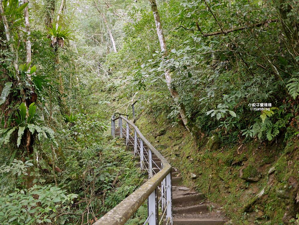 三峽景點「滿月圓國家森林遊樂區」滿月圓瀑布&彩虹乍現處女瀑布，柳杉林生態豐富放鬆養心