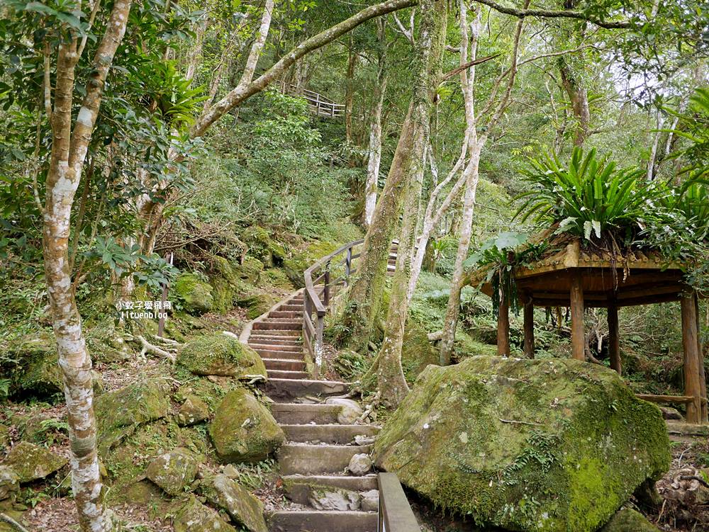 三峽景點「滿月圓國家森林遊樂區」滿月圓瀑布&彩虹乍現處女瀑布，柳杉林生態豐富放鬆養心