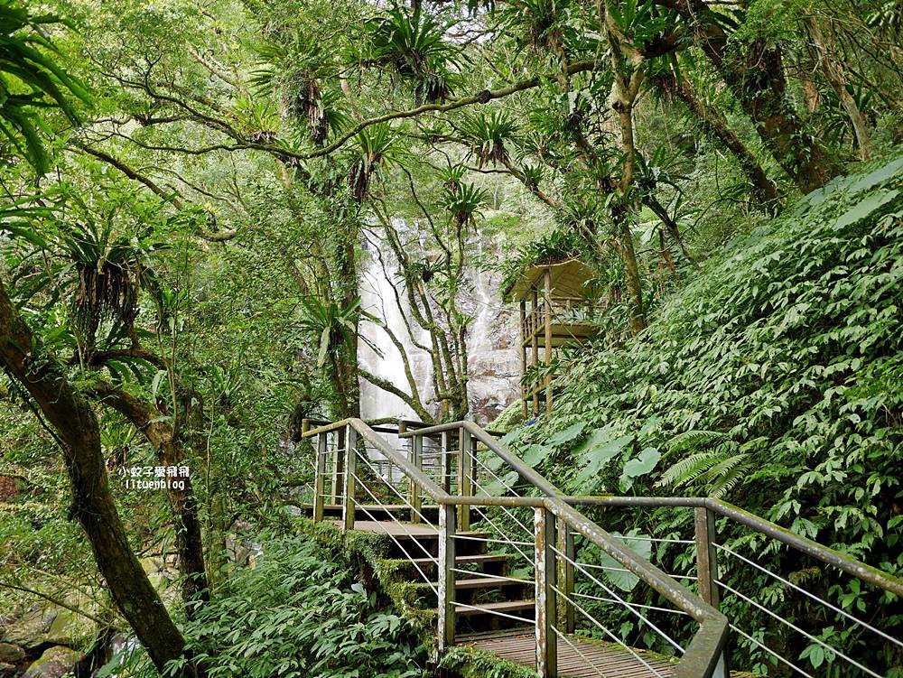 三峽景點「滿月圓國家森林遊樂區」滿月圓瀑布&彩虹乍現處女瀑布，柳杉林生態豐富放鬆養心