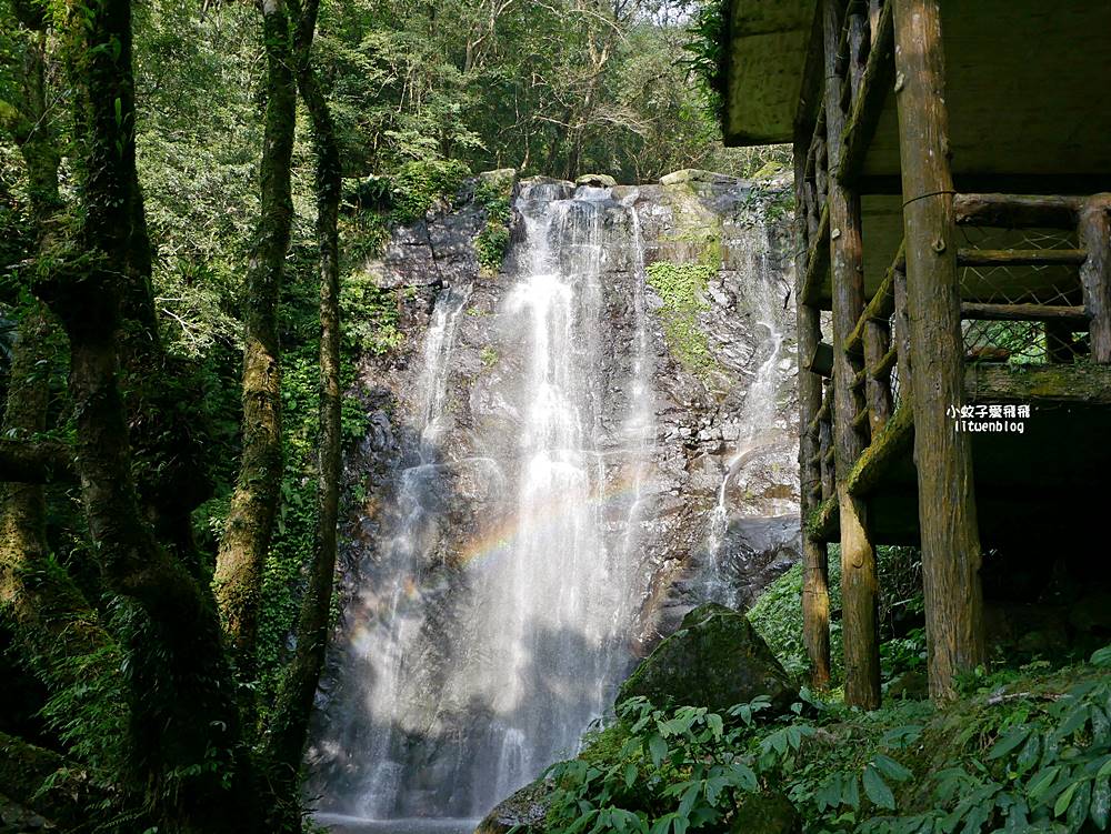 三峽景點「滿月圓國家森林遊樂區」滿月圓瀑布&彩虹乍現處女瀑布，柳杉林生態豐富放鬆養心