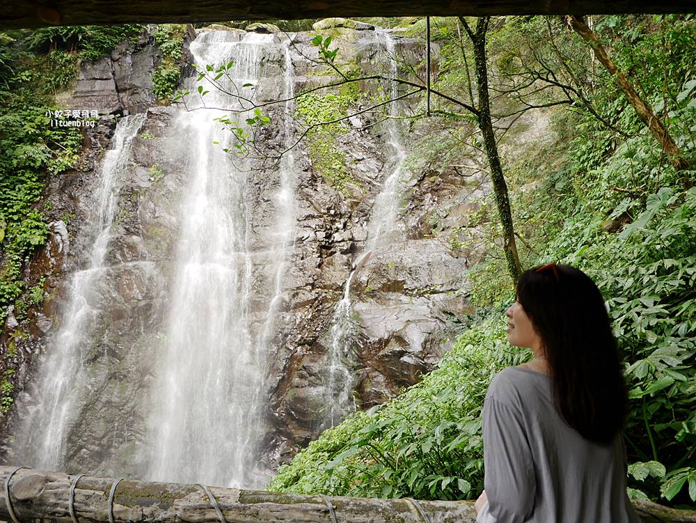 三峽景點「滿月圓國家森林遊樂區」滿月圓瀑布&彩虹乍現處女瀑布，柳杉林生態豐富放鬆養心