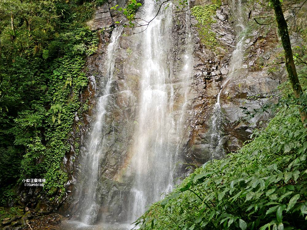 三峽景點「滿月圓國家森林遊樂區」滿月圓瀑布&彩虹乍現處女瀑布，柳杉林生態豐富放鬆養心