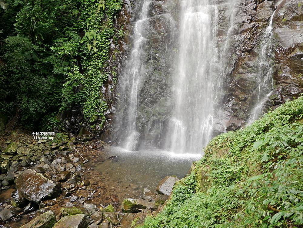 三峽景點「滿月圓國家森林遊樂區」滿月圓瀑布&彩虹乍現處女瀑布，柳杉林生態豐富放鬆養心