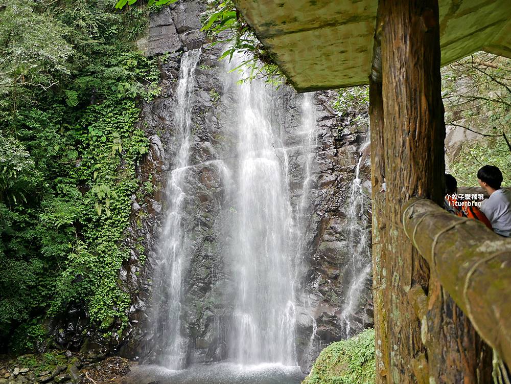 三峽景點「滿月圓國家森林遊樂區」滿月圓瀑布&彩虹乍現處女瀑布，柳杉林生態豐富放鬆養心