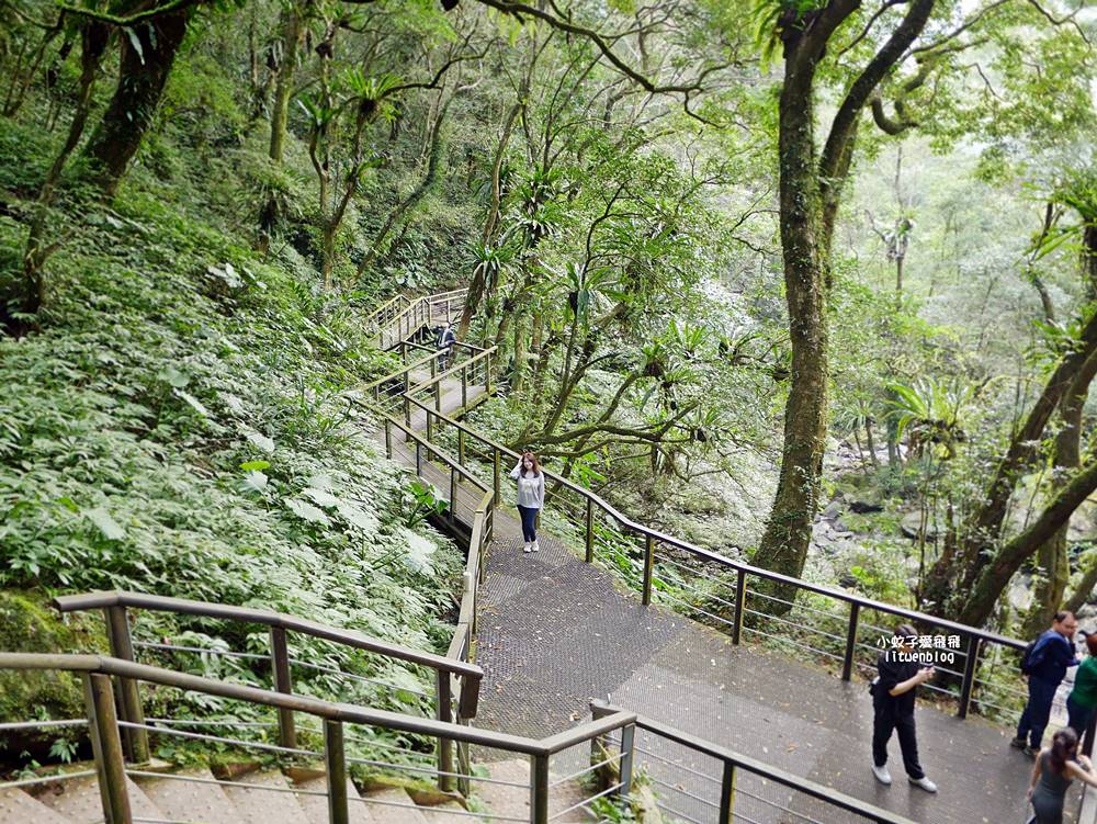 三峽景點「滿月圓國家森林遊樂區」滿月圓瀑布&彩虹乍現處女瀑布，柳杉林生態豐富放鬆養心