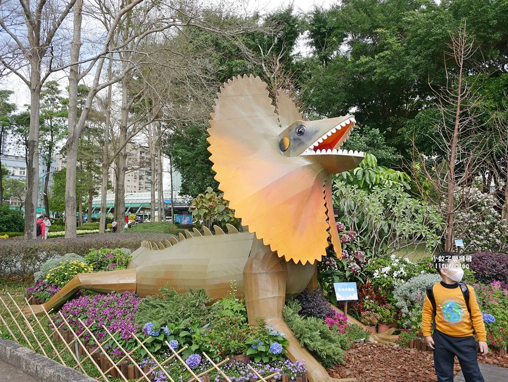 2026大安森林公園杜鵑花繡球花季，杜鵑花心心、2000盆繡球花、拾花號木船聯手浪漫
