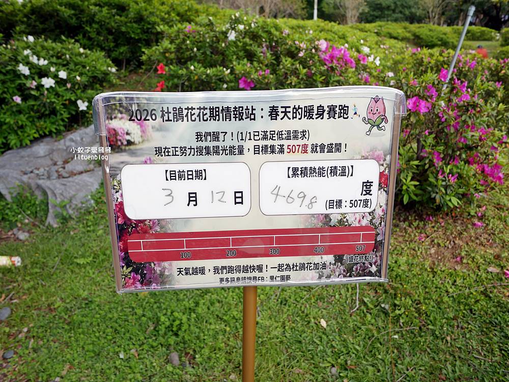 2026大安森林公園杜鵑花繡球花季，杜鵑花心心、2000盆繡球花、拾花號木船聯手浪漫