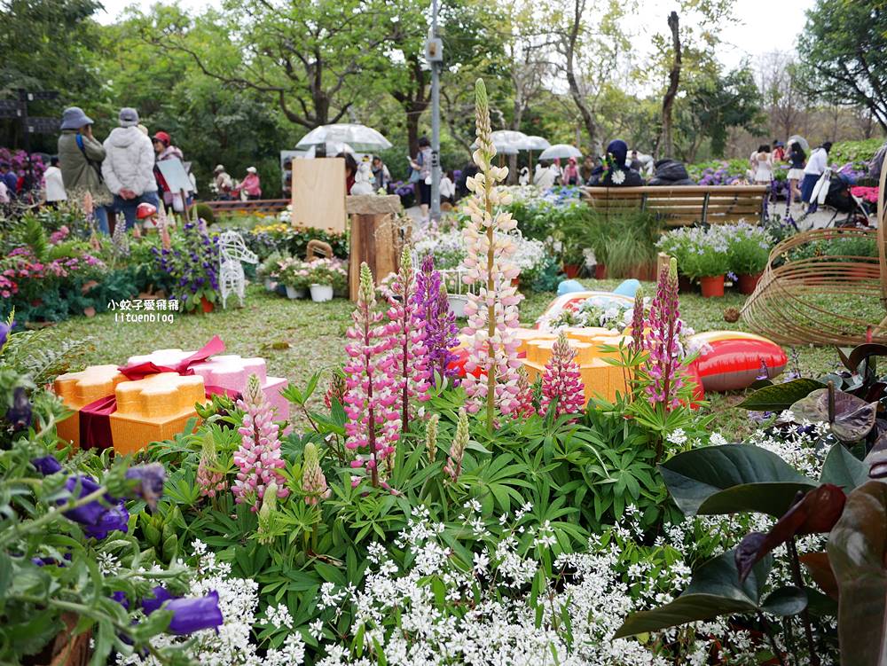2026大安森林公園杜鵑花繡球花季，杜鵑花心心、2000盆繡球花、拾花號木船聯手浪漫