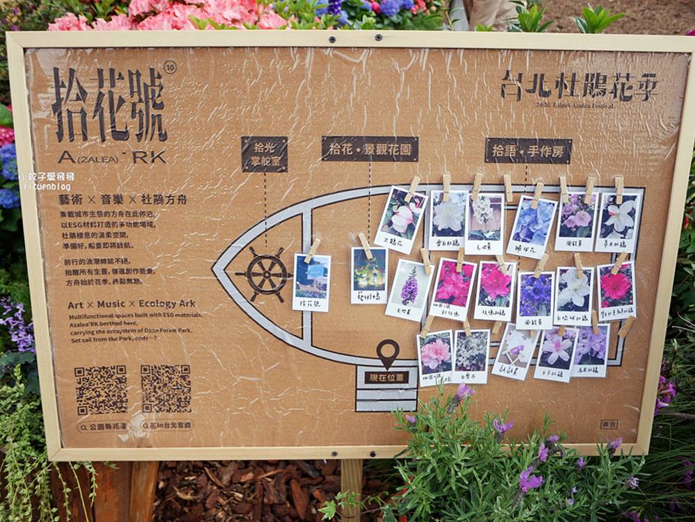 2026大安森林公園杜鵑花繡球花季，杜鵑花心心、2000盆繡球花、拾花號木船聯手浪漫