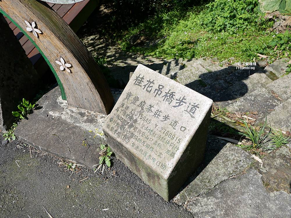 南港舊莊「台北女兒茶余順園茶莊」台灣包種茶發源地秘境,百年茶山輕旅行 南港舊莊「台北女兒茶余順園茶莊」台灣包種茶發源地秘境,百年茶山輕旅行