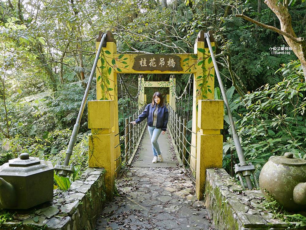 南港舊莊「台北女兒茶余順園茶莊」台灣包種茶發源地秘境,百年茶山輕旅行 南港舊莊「台北女兒茶余順園茶莊」台灣包種茶發源地秘境,百年茶山輕旅行