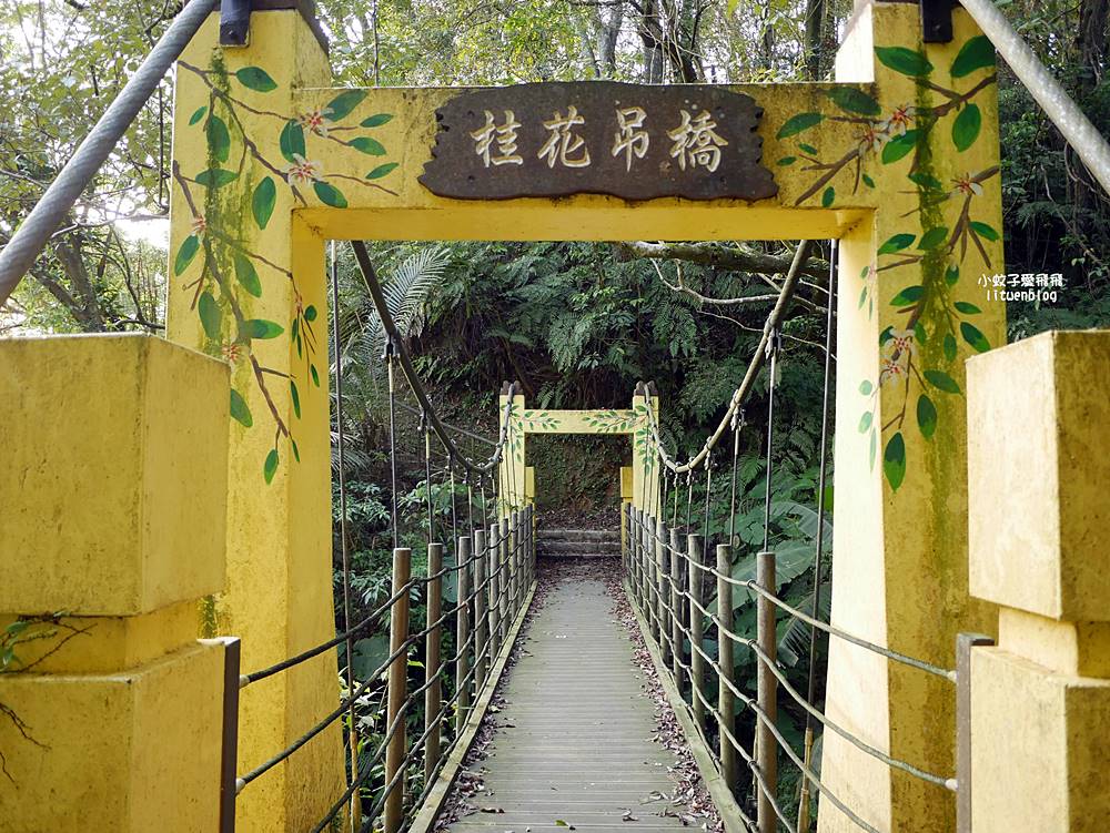 南港舊莊「台北女兒茶余順園茶莊」台灣包種茶發源地秘境,百年茶山輕旅行 南港舊莊「台北女兒茶余順園茶莊」台灣包種茶發源地秘境,百年茶山輕旅行
