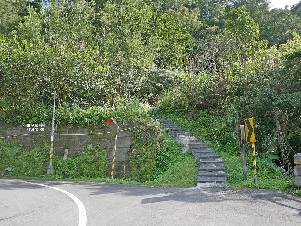 南港舊莊「台北女兒茶余順園茶莊」台灣包種茶發源地秘境,百年茶山輕旅行 南港舊莊「台北女兒茶余順園茶莊」台灣包種茶發源地秘境,百年茶山輕旅行