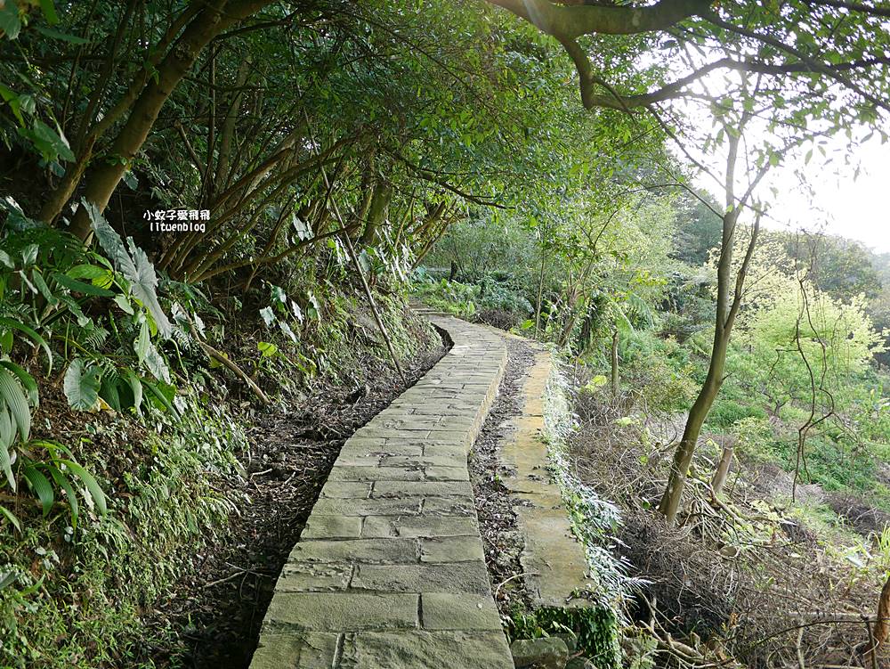 南港舊莊「台北女兒茶余順園茶莊」台灣包種茶發源地秘境,百年茶山輕旅行 南港舊莊「台北女兒茶余順園茶莊」台灣包種茶發源地秘境,百年茶山輕旅行