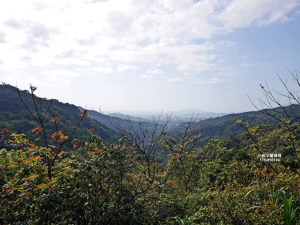 南港舊莊「台北女兒茶余順園茶莊」台灣包種茶發源地秘境,百年茶山輕旅行 南港舊莊「台北女兒茶余順園茶莊」台灣包種茶發源地秘境,百年茶山輕旅行