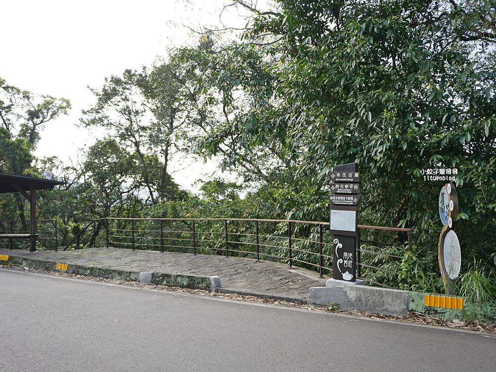 南港舊莊「台北女兒茶余順園茶莊」台灣包種茶發源地秘境，百年茶山輕旅行