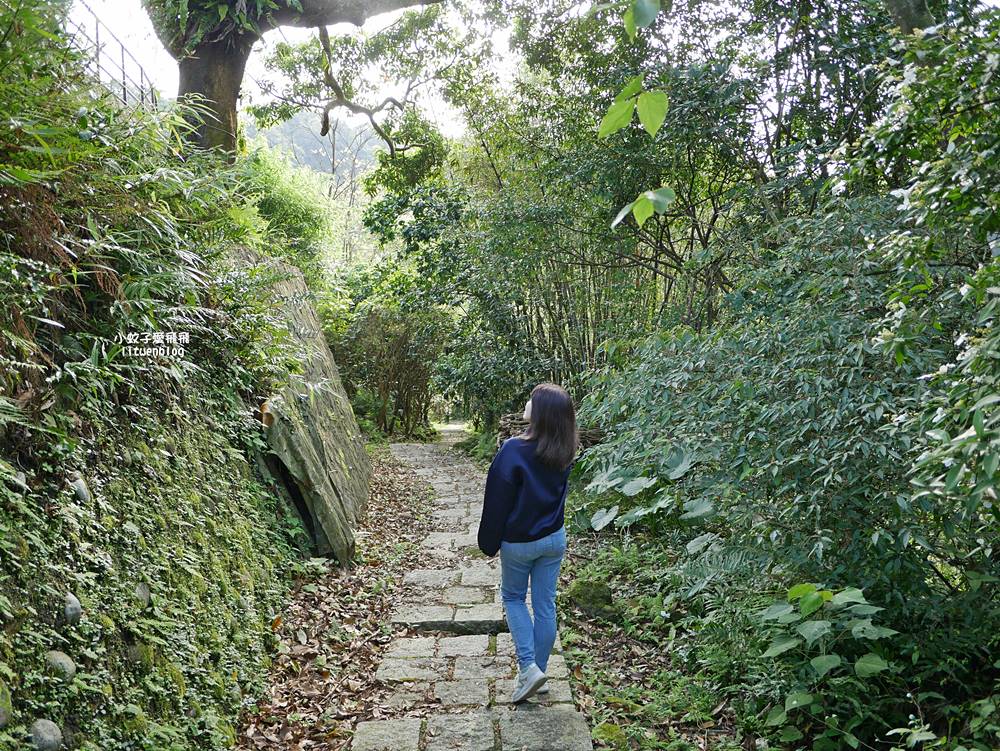 南港舊莊「台北女兒茶余順園茶莊」台灣包種茶發源地秘境,百年茶山輕旅行 南港舊莊「台北女兒茶余順園茶莊」台灣包種茶發源地秘境,百年茶山輕旅行