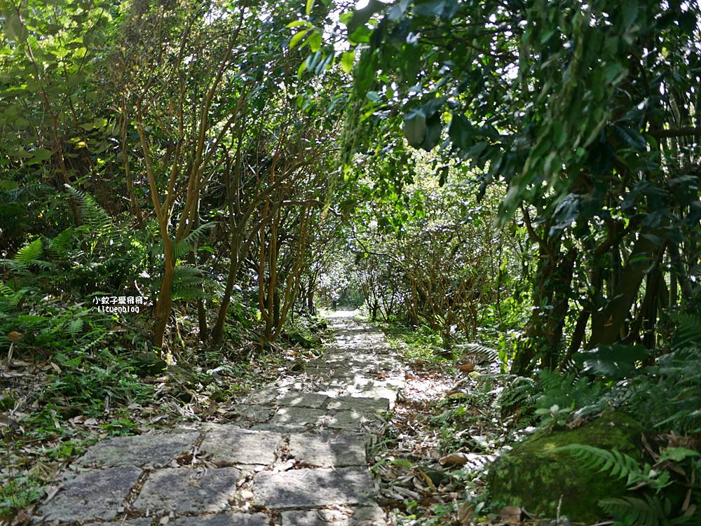 南港舊莊「台北女兒茶余順園茶莊」台灣包種茶發源地秘境,百年茶山輕旅行 南港舊莊「台北女兒茶余順園茶莊」台灣包種茶發源地秘境,百年茶山輕旅行