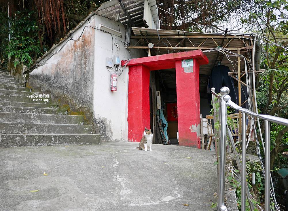 台北公館「蟾蜍山煥民新村」市區裡一甲子歷史山城,探訪空軍眷村的時光記憶 台北公館「蟾蜍山煥民新村」市區裡一甲子歷史山城,探訪空軍眷村的時光記憶