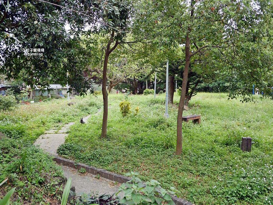 台北公館「蟾蜍山煥民新村」市區裡一甲子歷史山城,探訪空軍眷村的時光記憶 台北公館「蟾蜍山煥民新村」市區裡一甲子歷史山城,探訪空軍眷村的時光記憶