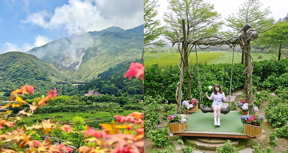 陽明山竹子湖「名陽匍休閒農莊」海芋紅楓繡球花小油坑，超夢幻的賞花基地 @小蚊子愛飛飛 litwenblog