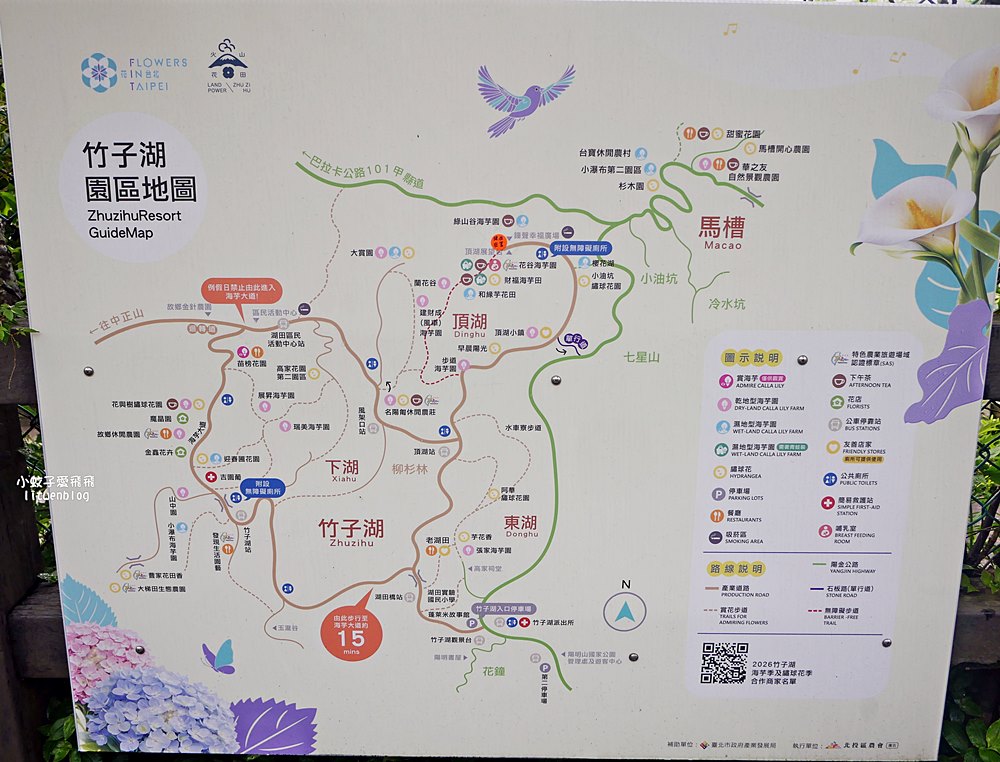 陽明山竹子湖「名陽匍休閒農莊」海芋紅楓繡球花小油坑，超夢幻的賞花基地