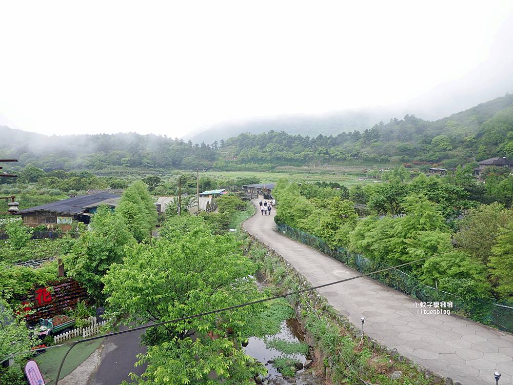 陽明山竹子湖「名陽匍休閒農莊」海芋紅楓繡球花小油坑，超夢幻的賞花基地