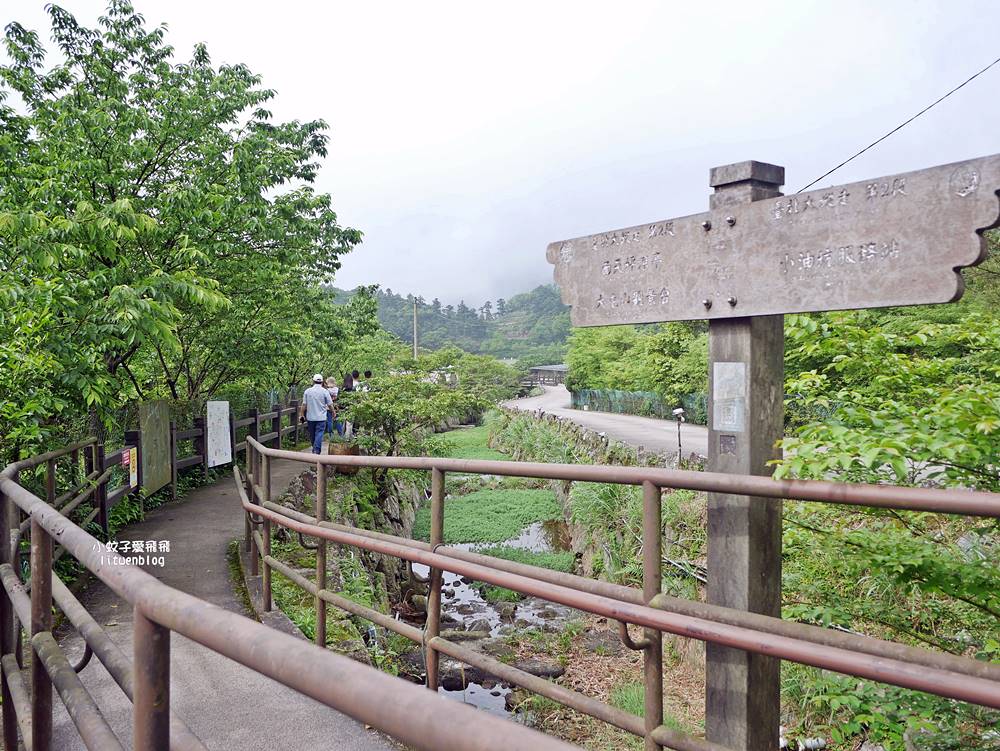 陽明山竹子湖「名陽匍休閒農莊」海芋紅楓繡球花小油坑，超夢幻的賞花基地