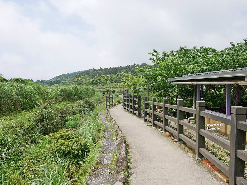 陽明山竹子湖「名陽匍休閒農莊」海芋紅楓繡球花小油坑，超夢幻的賞花基地