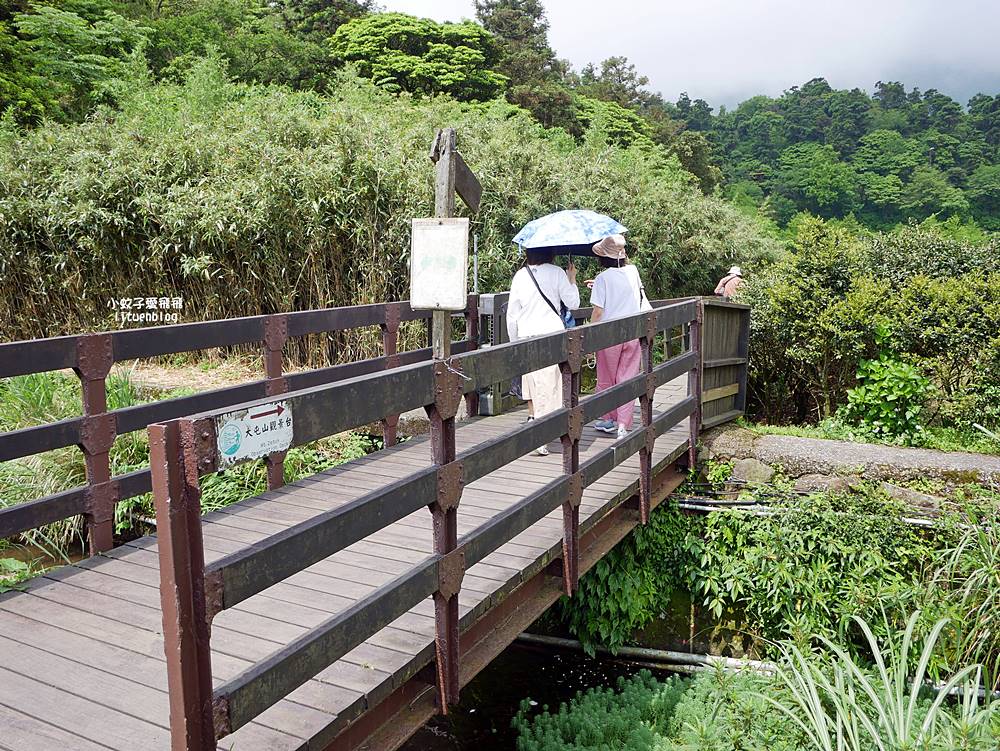 陽明山竹子湖「名陽匍休閒農莊」海芋紅楓繡球花小油坑，超夢幻的賞花基地