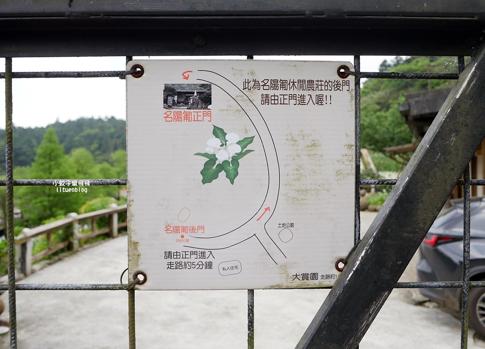 陽明山竹子湖「名陽匍休閒農莊」海芋紅楓繡球花小油坑，超夢幻的賞花基地