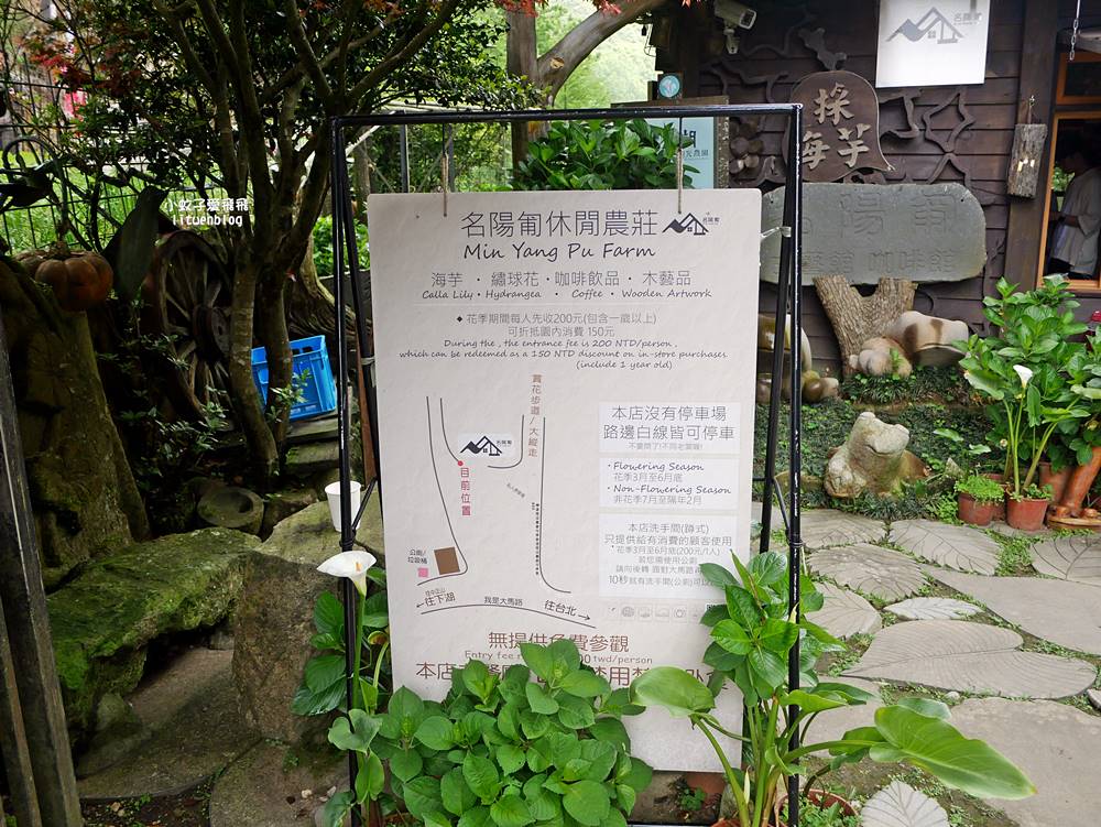 陽明山竹子湖「名陽匍休閒農莊」海芋紅楓繡球花小油坑，超夢幻的賞花基地