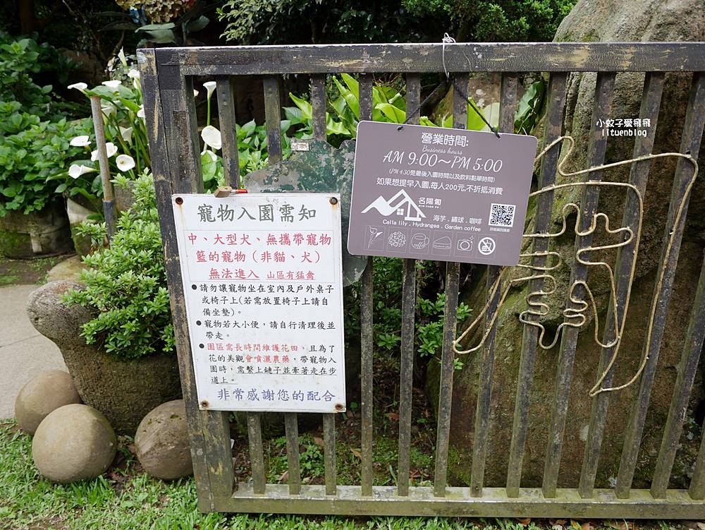陽明山竹子湖「名陽匍休閒農莊」海芋紅楓繡球花小油坑，超夢幻的賞花基地