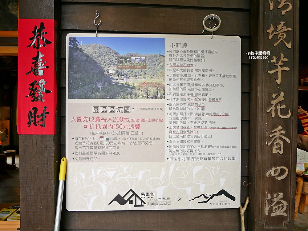 陽明山竹子湖「名陽匍休閒農莊」海芋紅楓繡球花小油坑，超夢幻的賞花基地