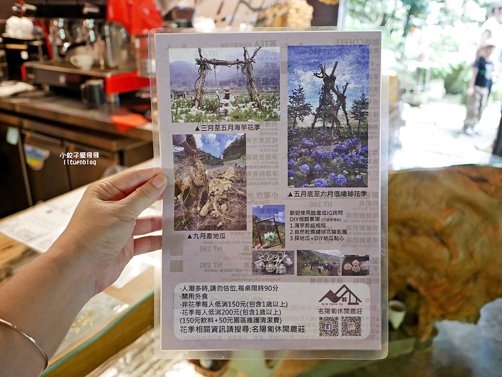 陽明山竹子湖「名陽匍休閒農莊」海芋紅楓繡球花小油坑，超夢幻的賞花基地