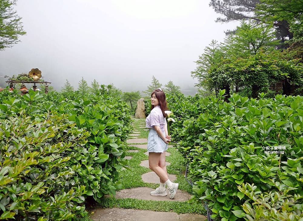 陽明山竹子湖「名陽匍休閒農莊」海芋紅楓繡球花小油坑，超夢幻的賞花基地