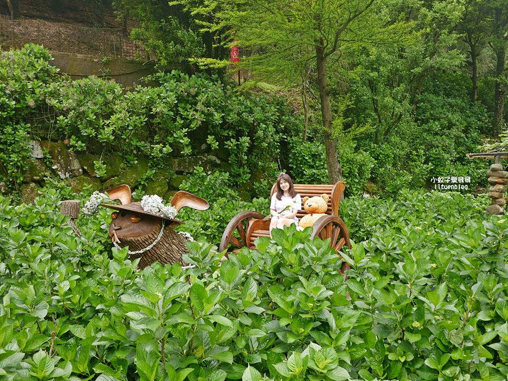 陽明山竹子湖「名陽匍休閒農莊」海芋紅楓繡球花小油坑，超夢幻的賞花基地